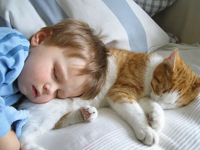 50 Adorable Photos Proving That Your Kids Need A Cat