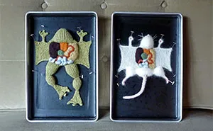 Learn Anatomy From Dissected Knit Creatures By Emily Stoneking