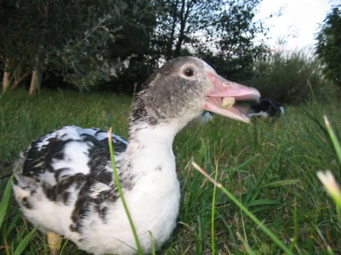 113 Photos Taken At Just The Right Moment