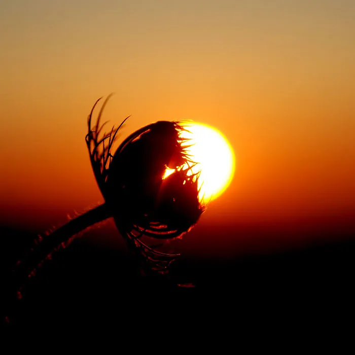 113 Photos Taken At Just The Right Moment