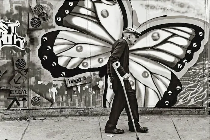 113 Photos Taken At Just The Right Moment