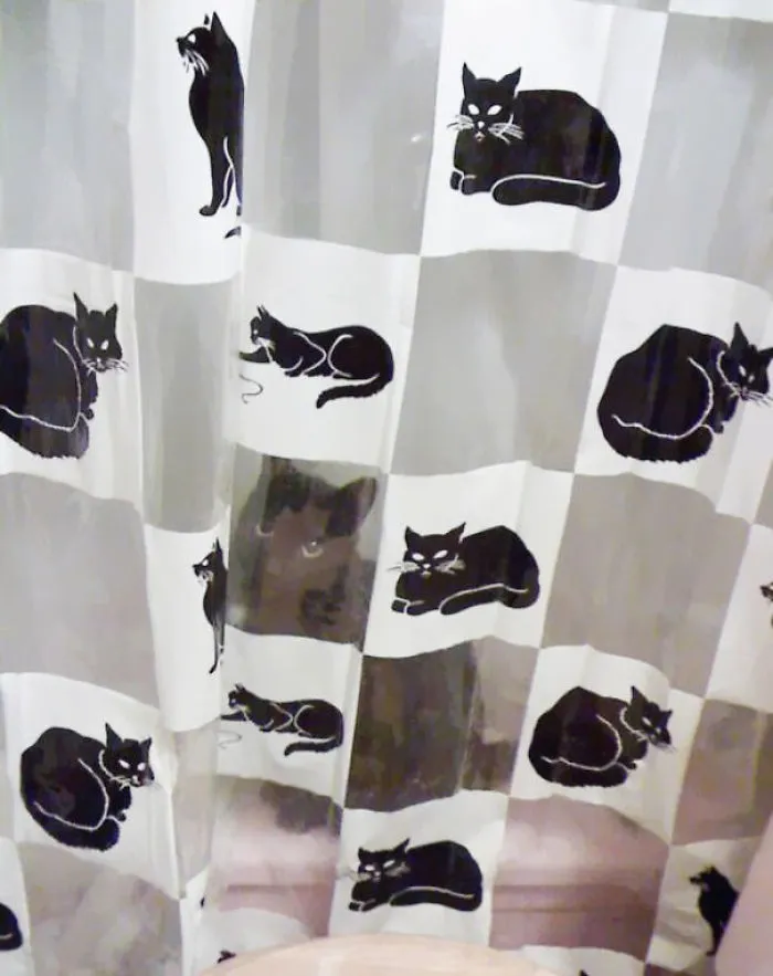 109 Camouflaged Cats That Win At Hide And Seek