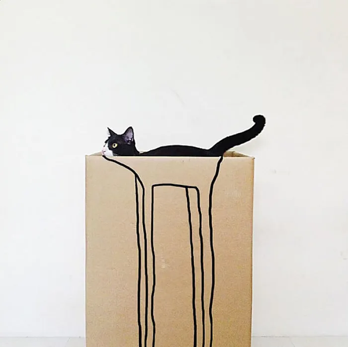 109 Camouflaged Cats That Win At Hide And Seek