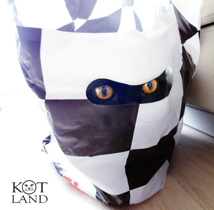109 Camouflaged Cats That Win At Hide And Seek