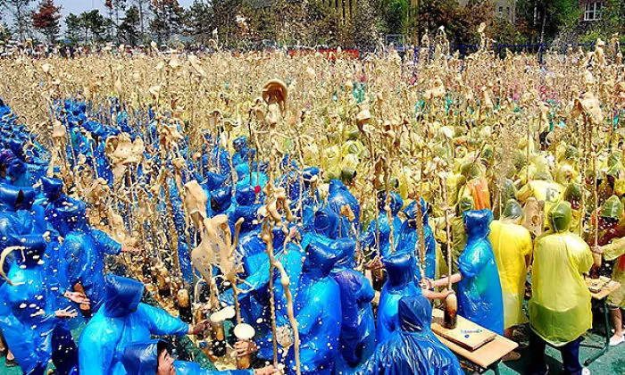113 Photos Taken At Just The Right Moment