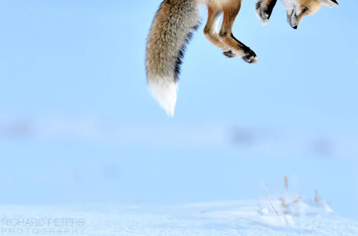113 Photos Taken At Just The Right Moment