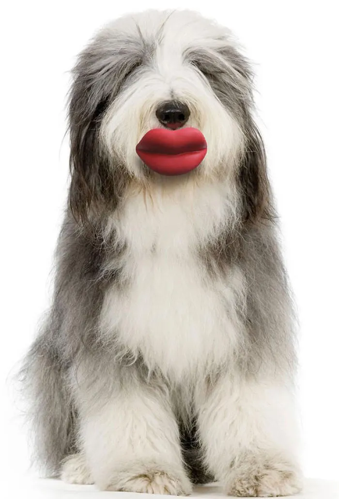 Moody Pet Lips