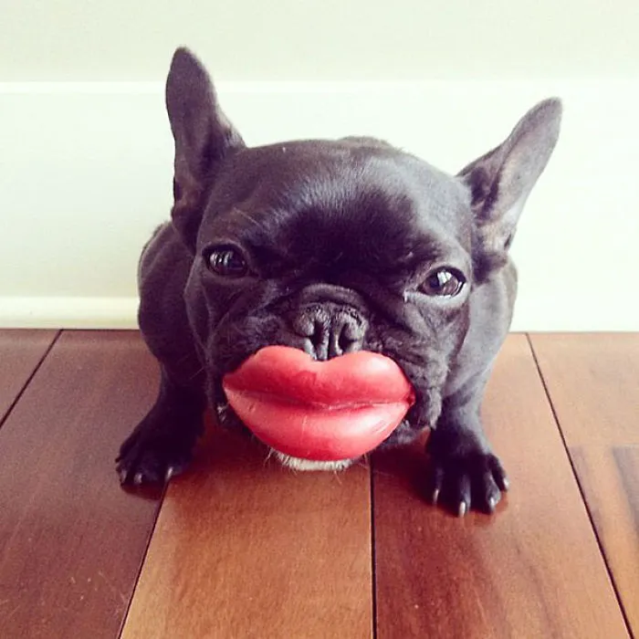 Read My Lips