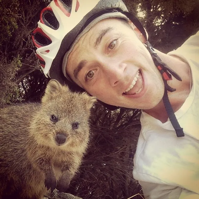 Quokka Selfie