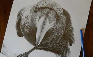 I Am Fascinated With Crows And Love Finding Beauty In Darkness