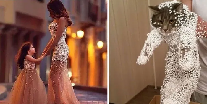 Who Wore It Better?