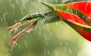 25 Finalists From 12th Annual Smithsonian Photo Competition