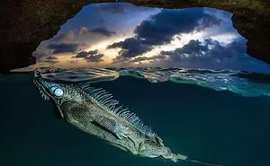 25 Finalists From 12th Annual Smithsonian Photo Competition