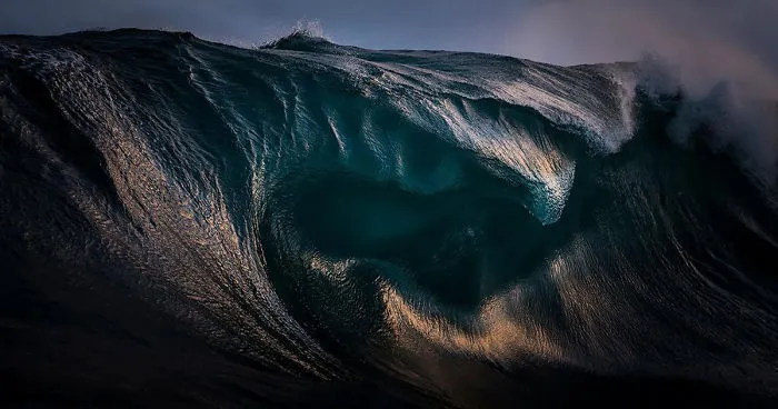 25 Finalists From 12th Annual Smithsonian Photo Competition