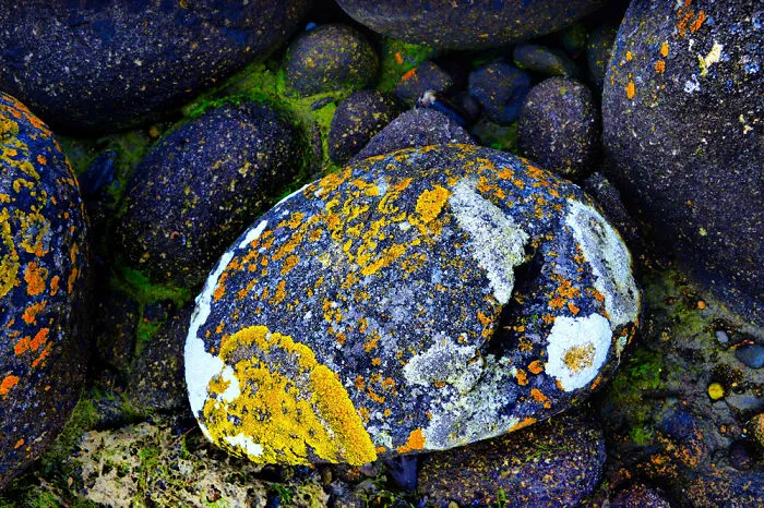 Easter Egg Beach Stone..