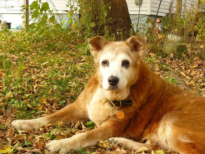 Maggie At 17.