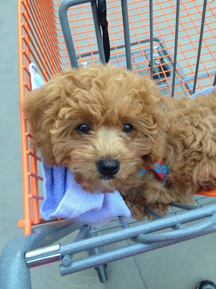 Jax's First Week