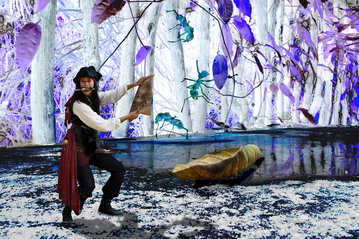 The Magical Misadventures Of The Pocket Pirate Photo Series