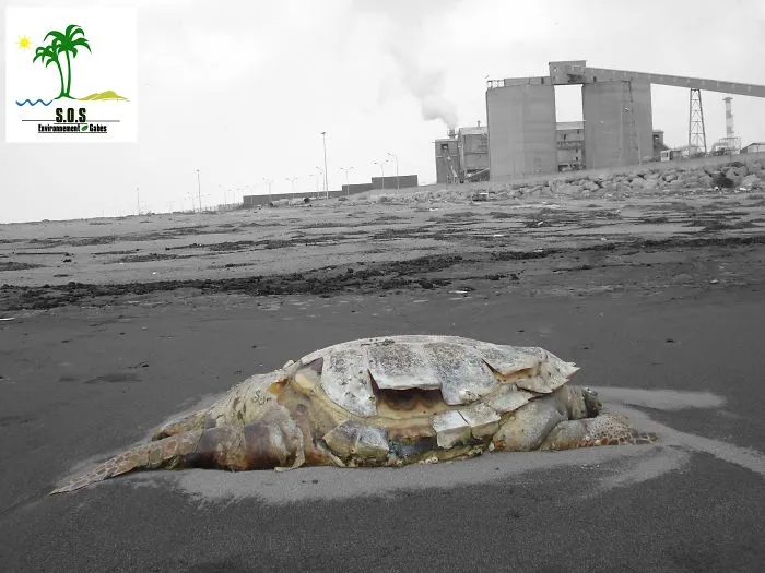 The Tunisian Chemical Group Ecocide In Gabes (tunisia)