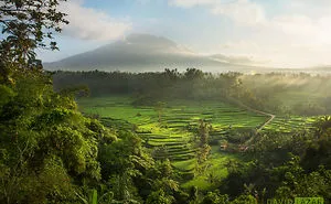 Remarkable Photos From Hidden Bali By David Lazar And Rarindra Prakarsa