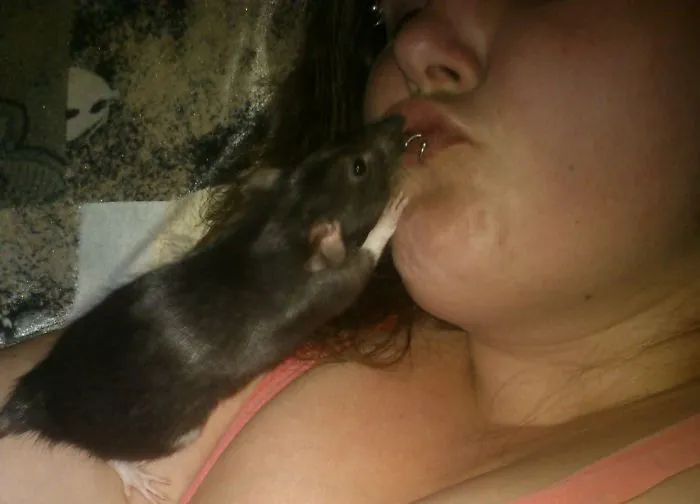 202 Adorable Rat Pics Proving That They Can Be The Cutest Pets Ever