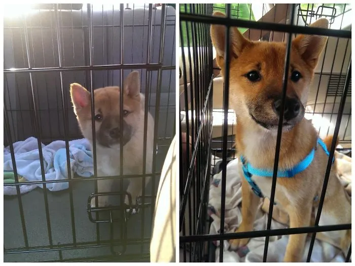 Woffles, 2 Mo -> 6 Mo