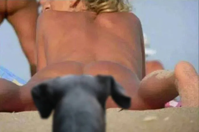 90 Of The Funniest Animal Photobombs Ever