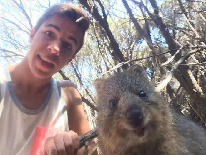 90 Of The Funniest Animal Photobombs Ever