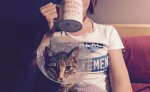 Most Days I Wish I Was A Cat (or Not)