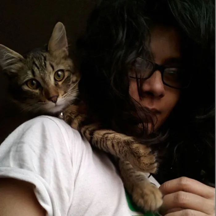 Tabby Love