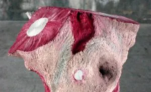 I Paint Wood With Intense Oil Colors To Make It Look Like Flesh