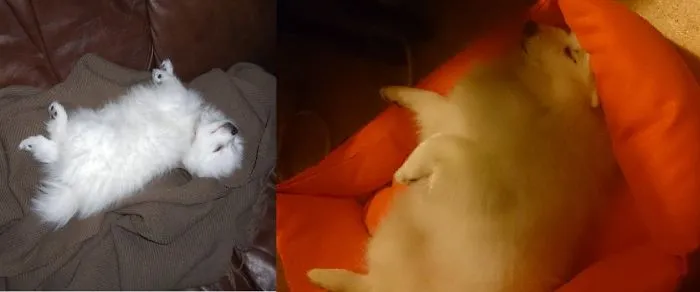 3 Years Later