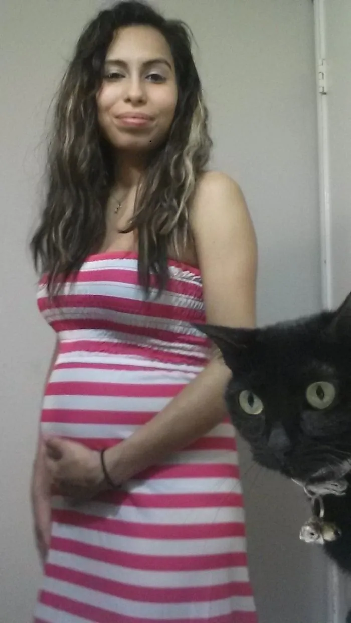 90 Of The Funniest Animal Photobombs Ever