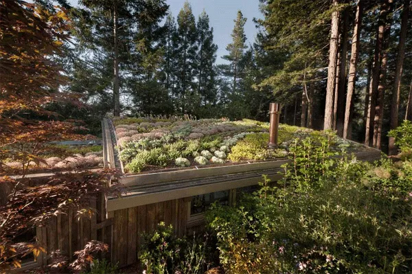Awesome Green Roof