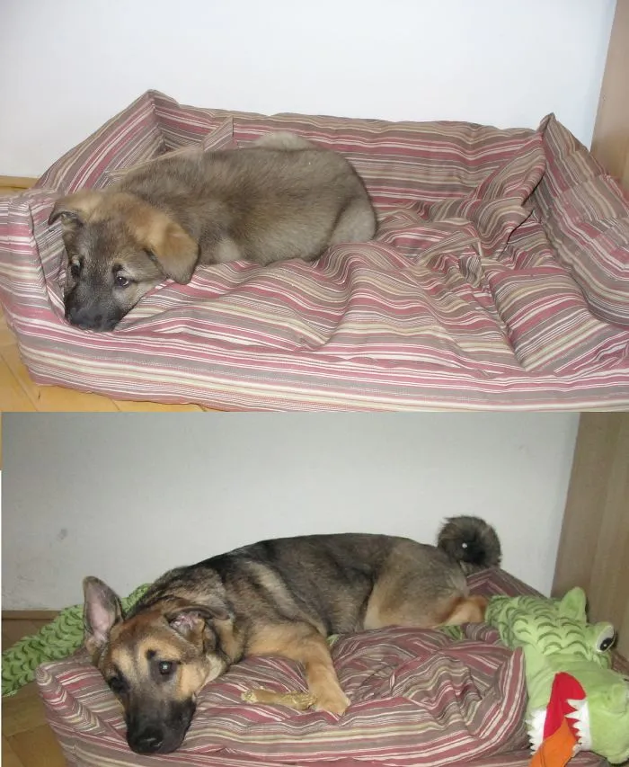 My Little Monster :*