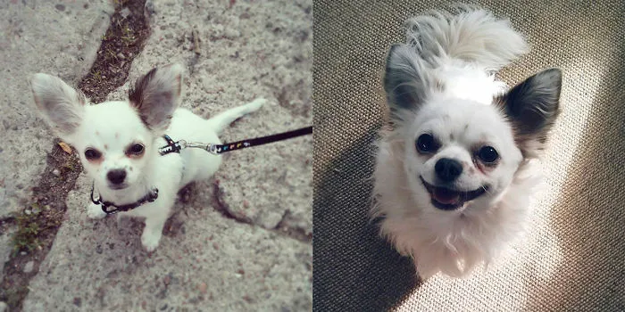 Ufo - Two Years Apart