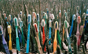 Artist Creates Art From Trash That Washes Up In Mexico From 50 Countries Around The World