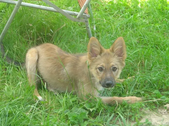 Wendy 9 Years Ago