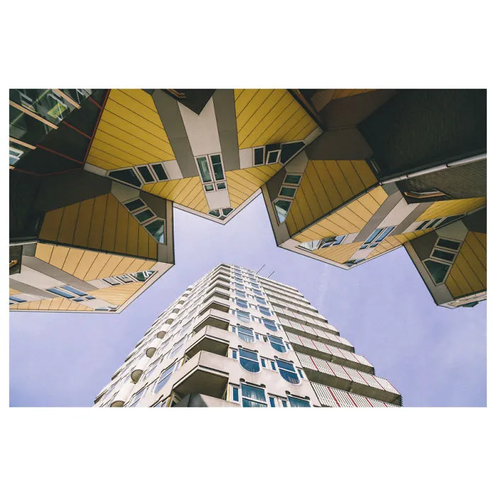 Exploring The Face Of Rotterdam.