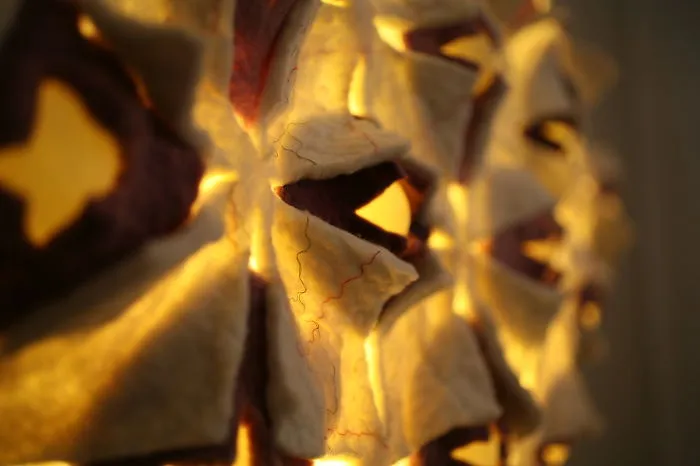 Close Look At The Tactile 3d Felt