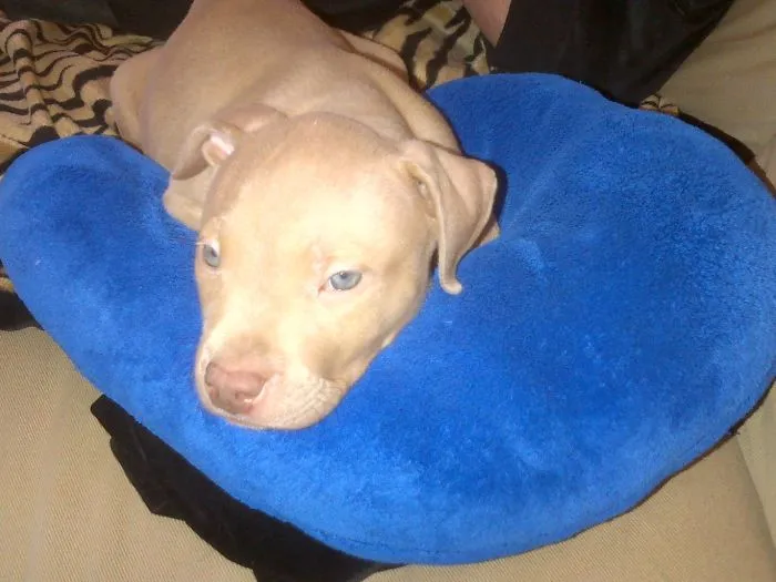 Killian At 8 Weeks