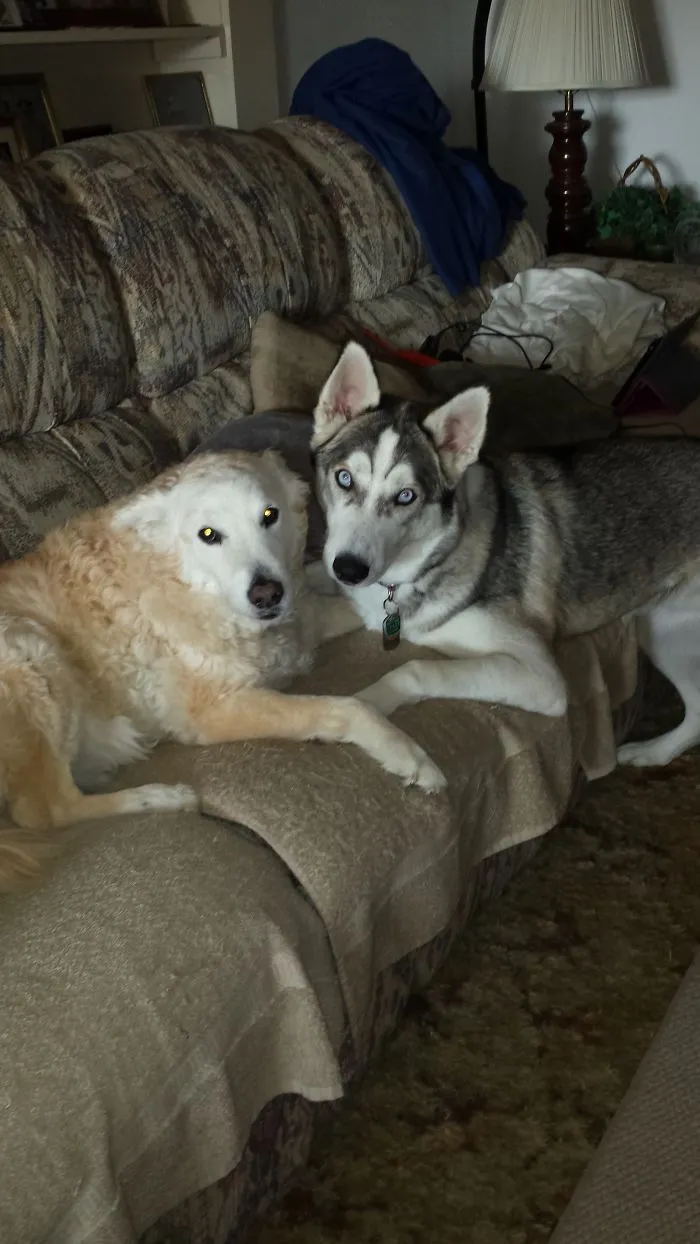 Best Friends.....
