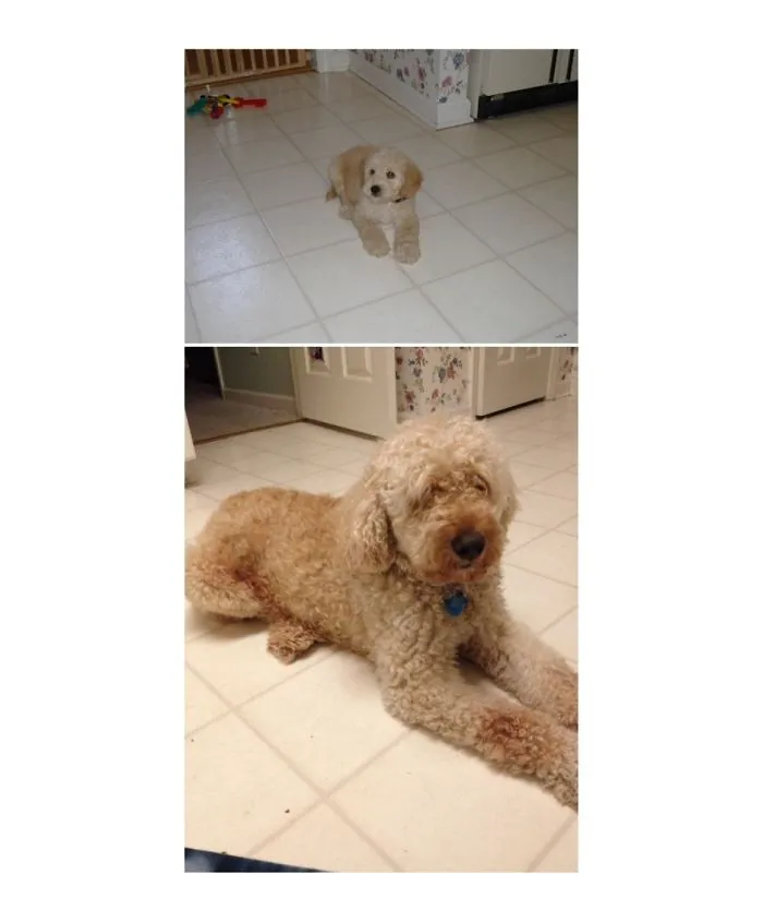 Casey In 2007 And 2014. :)