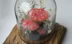Life-like Fly Agaric Mushrooms And A Fern Sculpted From Old Book Pages And Reclaimed Fabrics