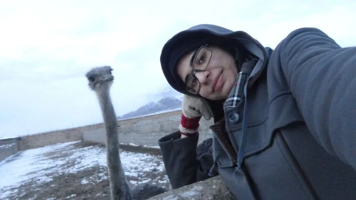 90 Of The Funniest Animal Photobombs Ever
