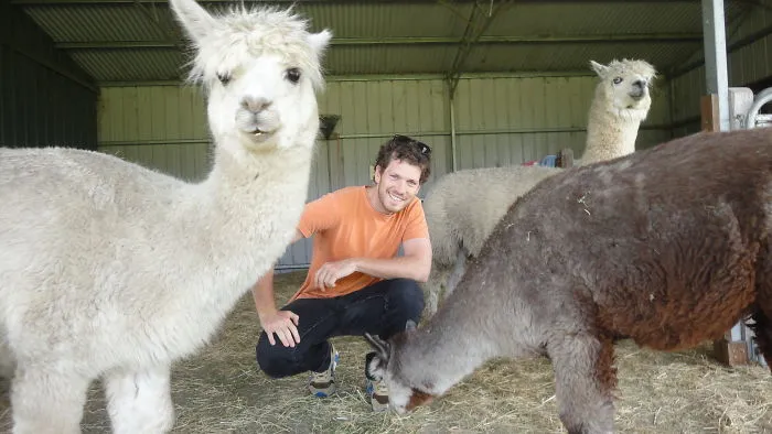 90 Of The Funniest Animal Photobombs Ever