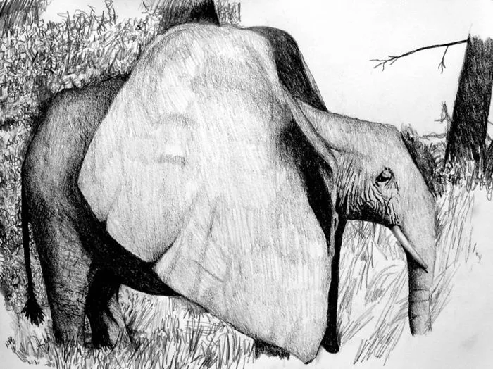 Elephantasy