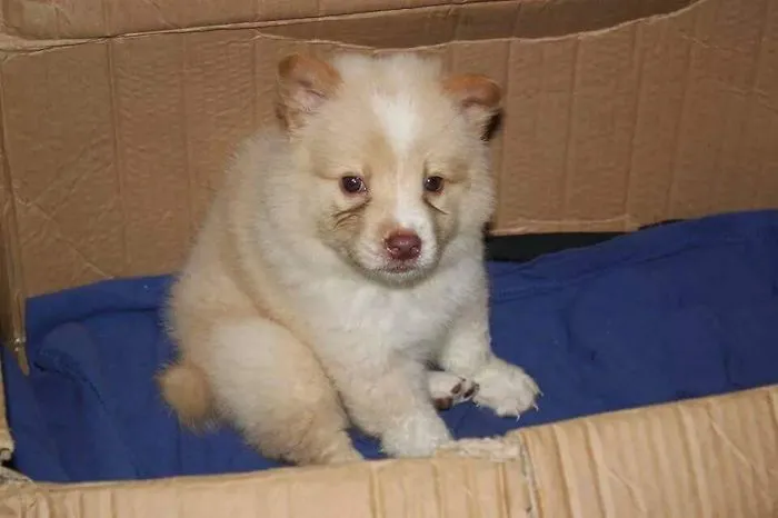 Monty @ 2 Months