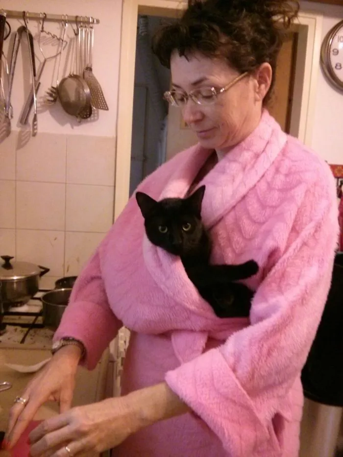 50 Animals That Love Warmth More Than Anything