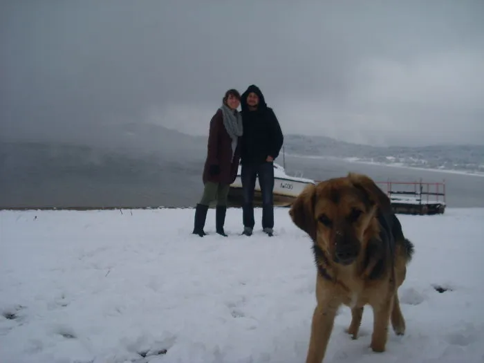 90 Of The Funniest Animal Photobombs Ever